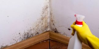 7 grand-ma tips to get rid of mildew in the bathroom