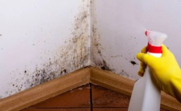 7 grand-ma tips to get rid of mildew in the bathroom